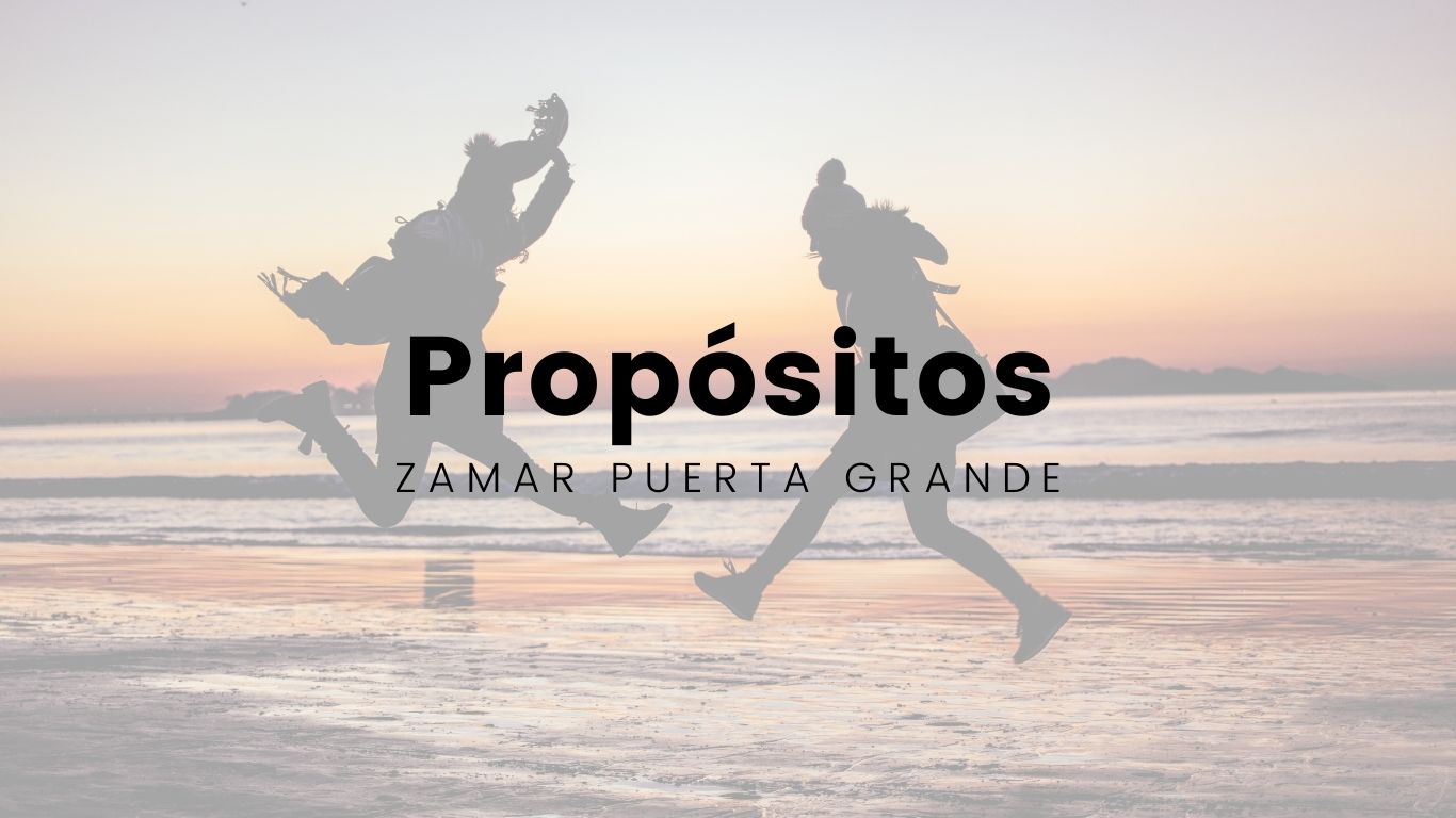 Propósitos